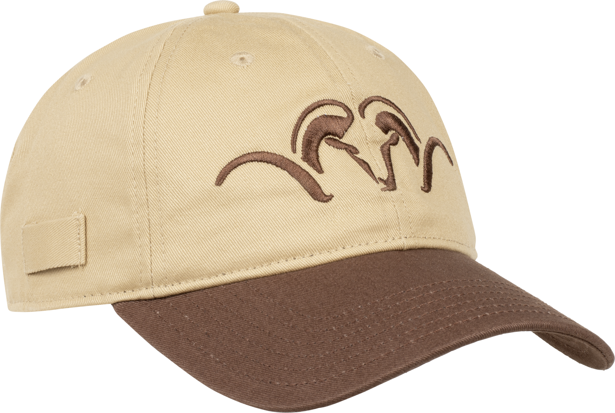 Argali Kappe Antilope